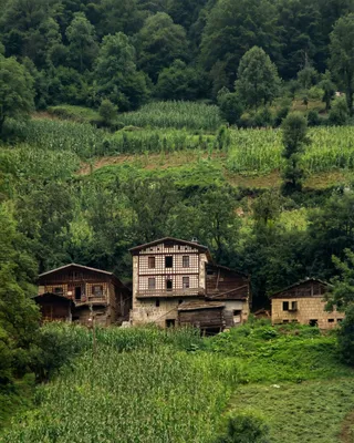 Eastern Black Sea Houses